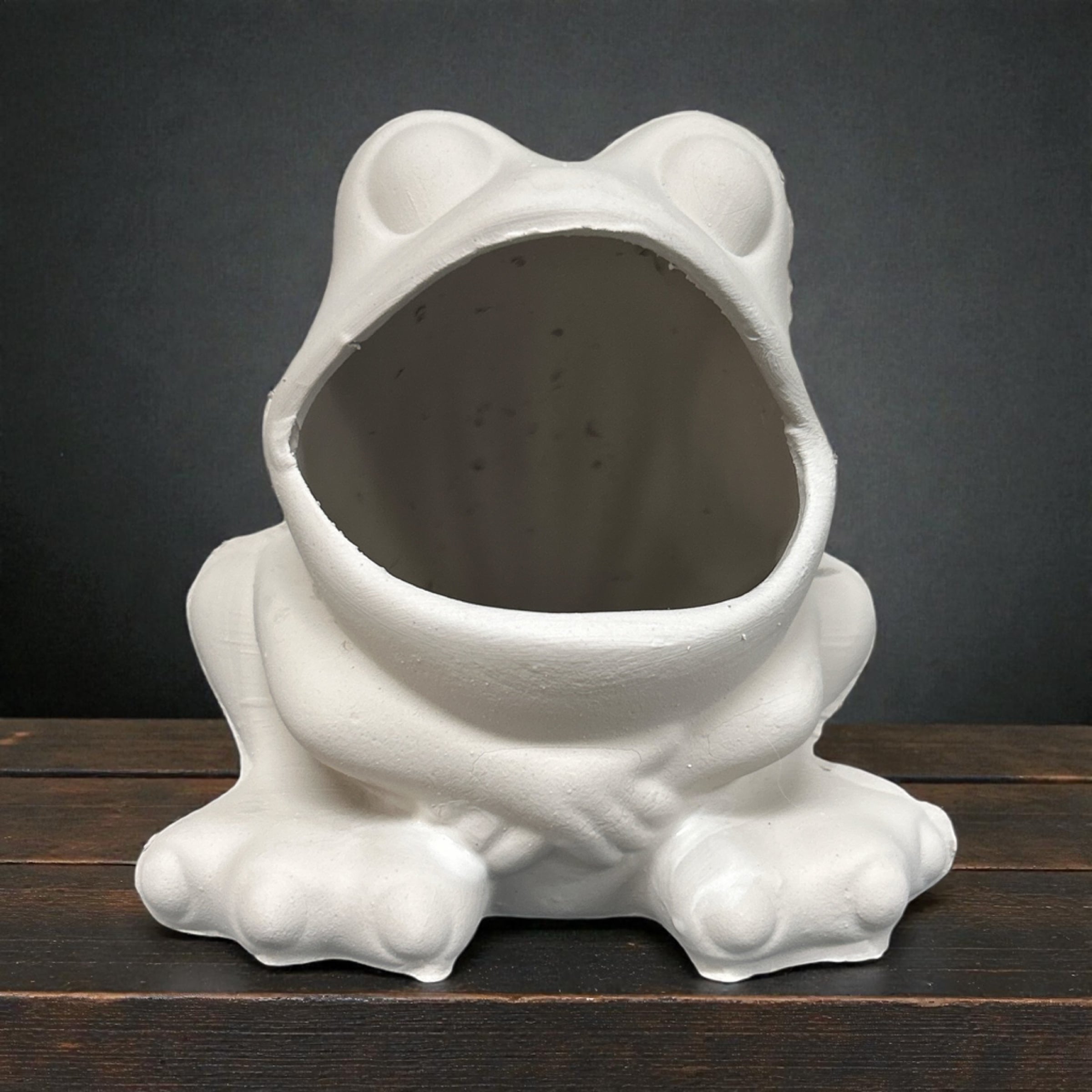 Arnel-774 Scrubby Holder-Frog | Ceramic Addicts